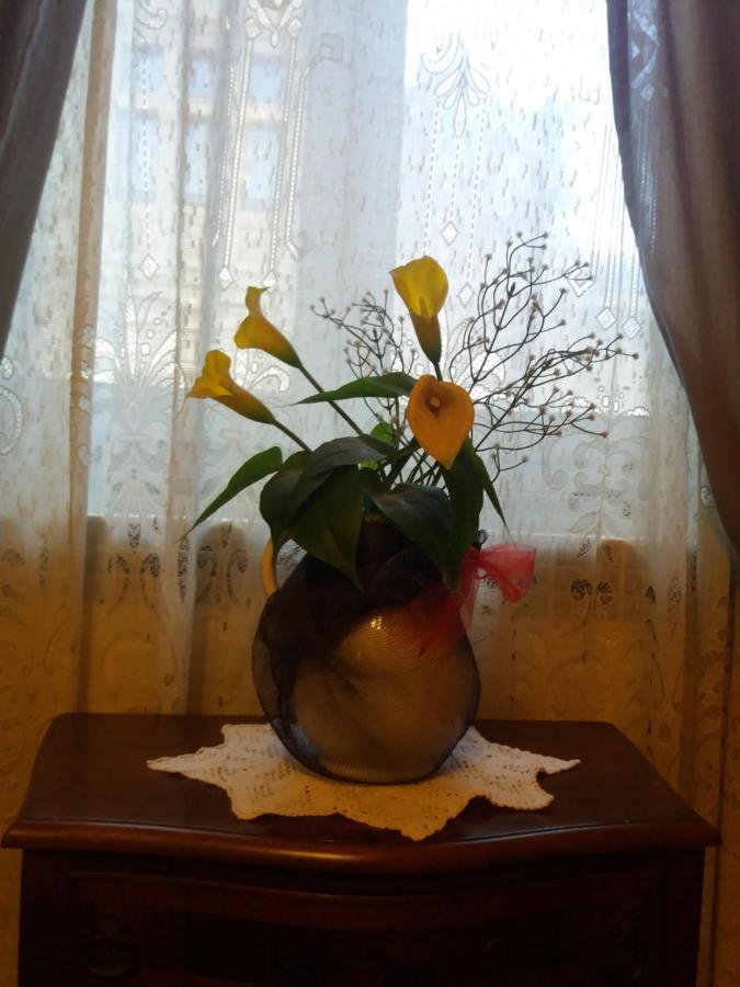 "La Maison Del Corso" Hospitality Пиза Екстериор снимка